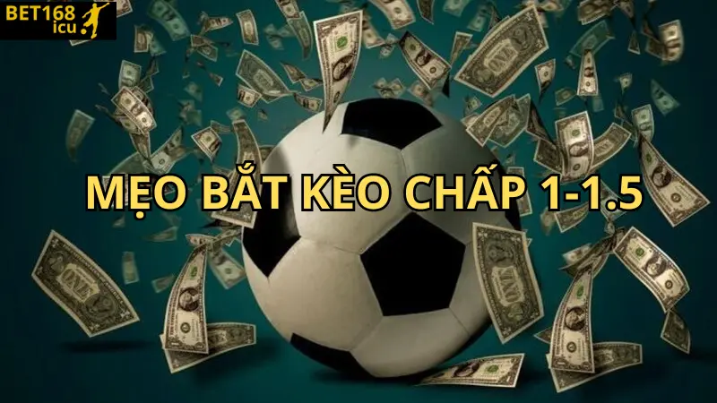 keo-chap-1-1.5-3